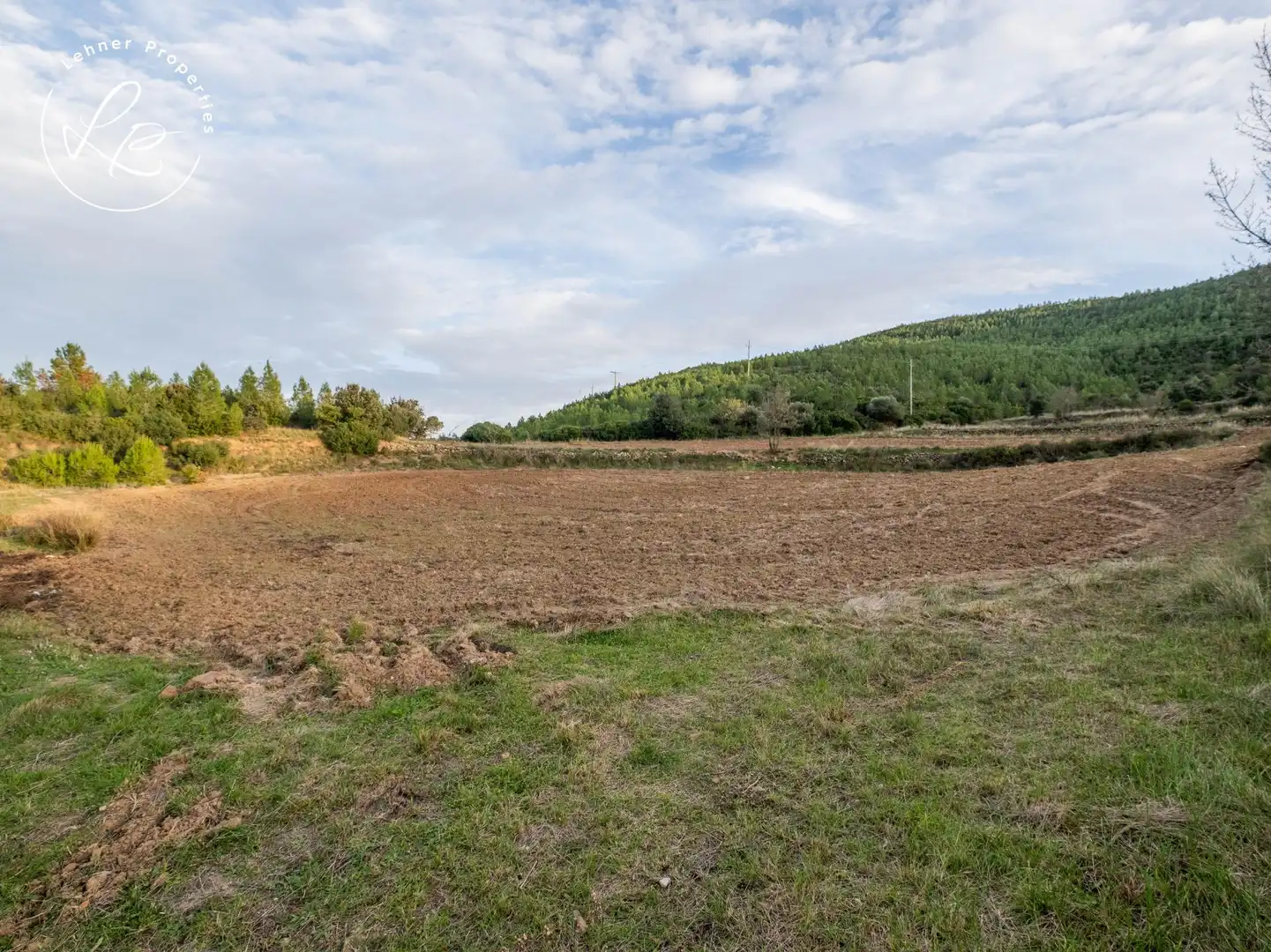 Terreno rustico in vendita a Biure, imagen 10