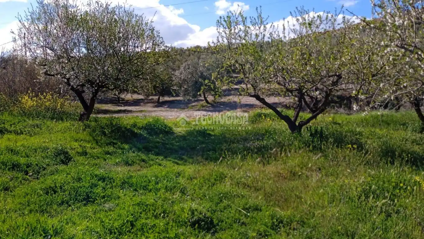Rustikales Grundstück zum Verkauf in Gójar, imagen 4