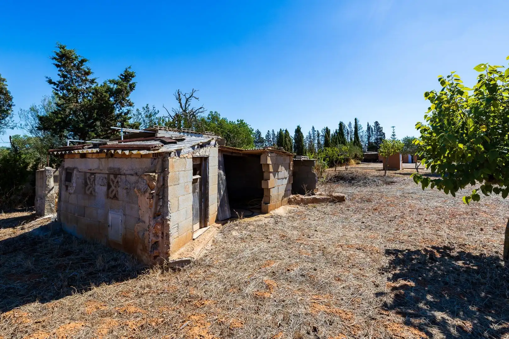 Rustikales Grundstück zum Verkauf in Llucmajor pueblo, imagen 34