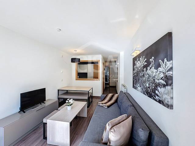 Piso en Venta en Carretera de Ransol, -1 en L'Aldosa - Ransol