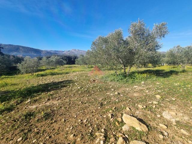 Terreno en Venta en Casco Histórico