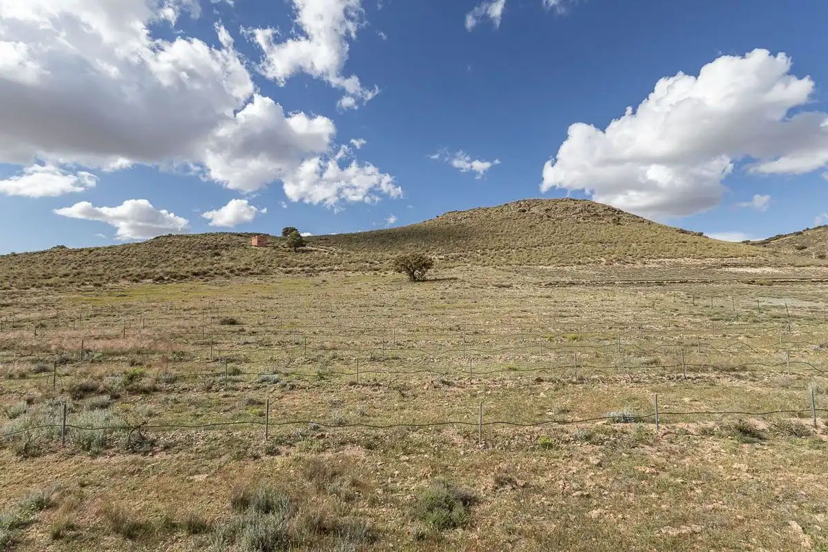 Terreni e lotti in vendita a la finca el launero guadix #guadix #guadix, imagen 4