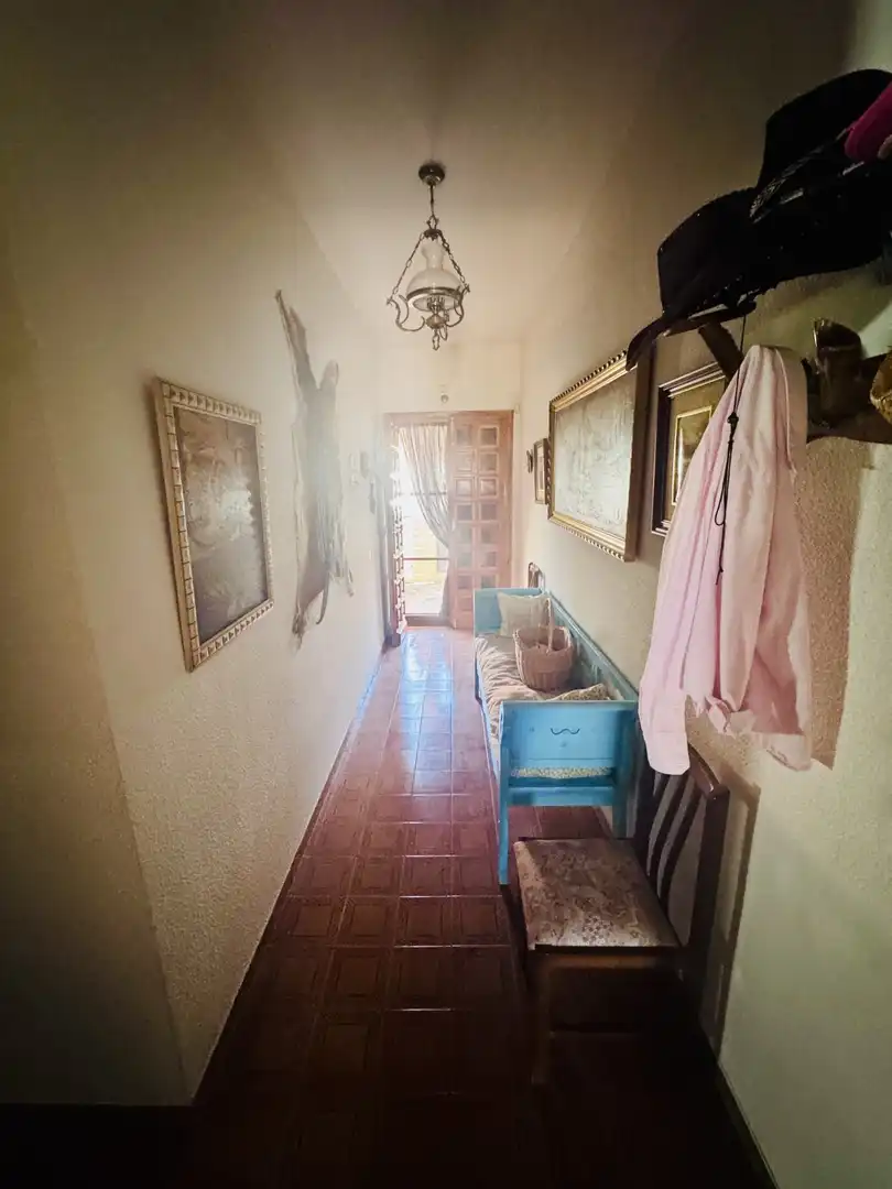 Casa rústica amb terrassa en venda a Horcajo de los Montes, imagen 23