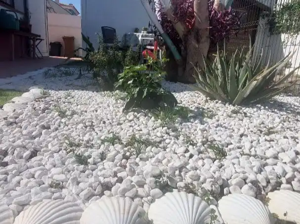 Garden of Houses for sale in Tegueste, Santa Cruz de Tenerife