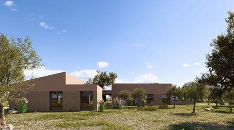 Foto 3 de Terreno en venta en Montuïri, Illes Balears