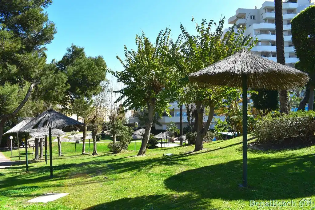 Habitatge amb piscina en venda a Avenida del Parque 3, imagen 24