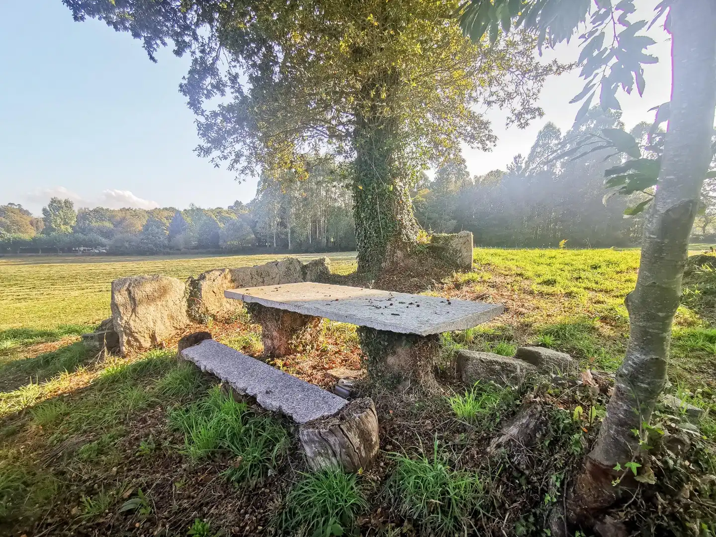 Garten von Haus oder Chalet zum Verkauf in Guitiriz mit Privatgarten