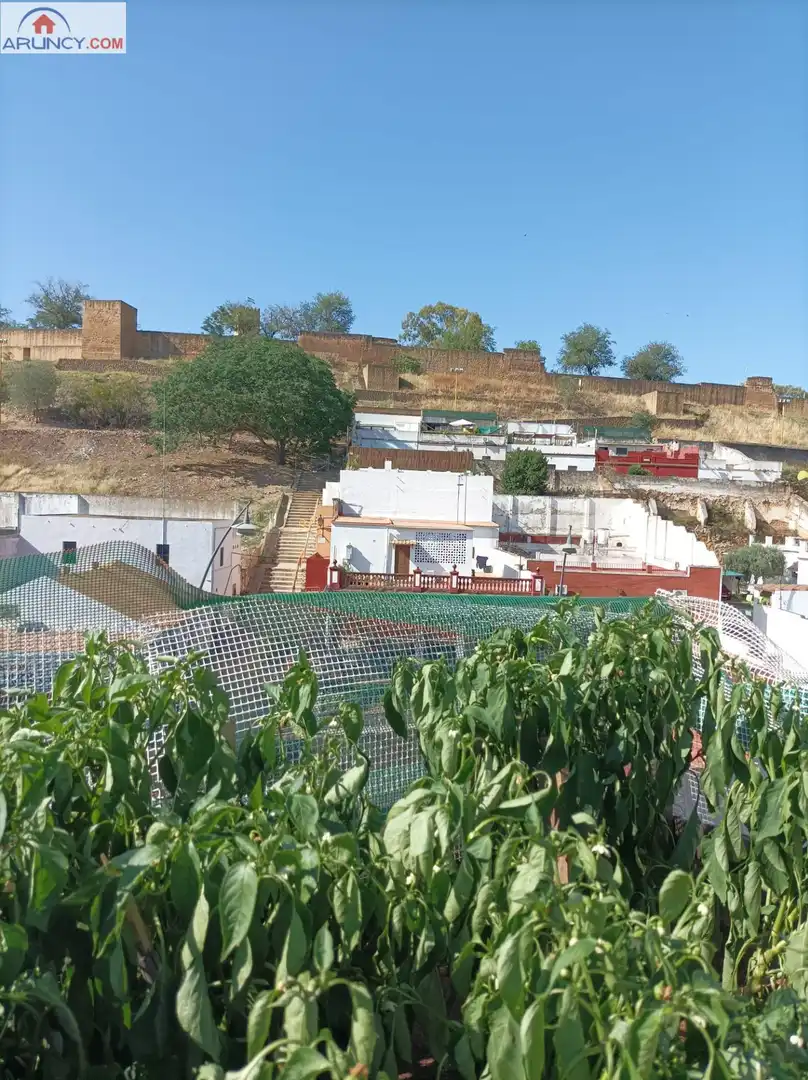 Jardí de Casa o xalet en venda en Alcalá de Guadaira amb Aire condicionat, Calefacció i Terrassa