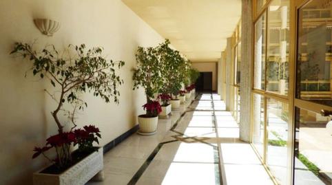 Photo 2 of Flat to rent in  Llanos San Ramon, 1, Playa Bajadilla - Puertos, Marbella