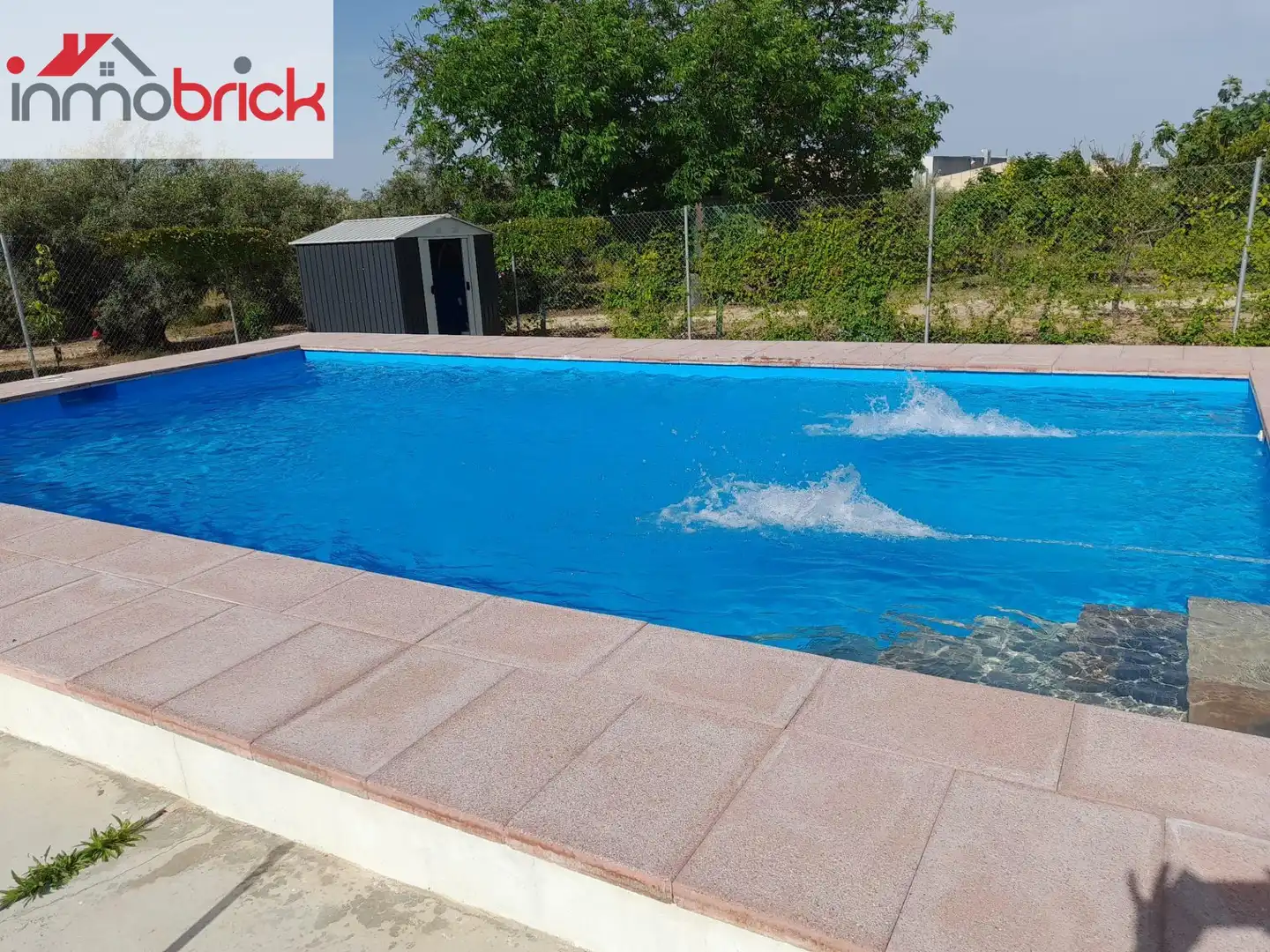 Swimming pool of Houses for rent in Lucena