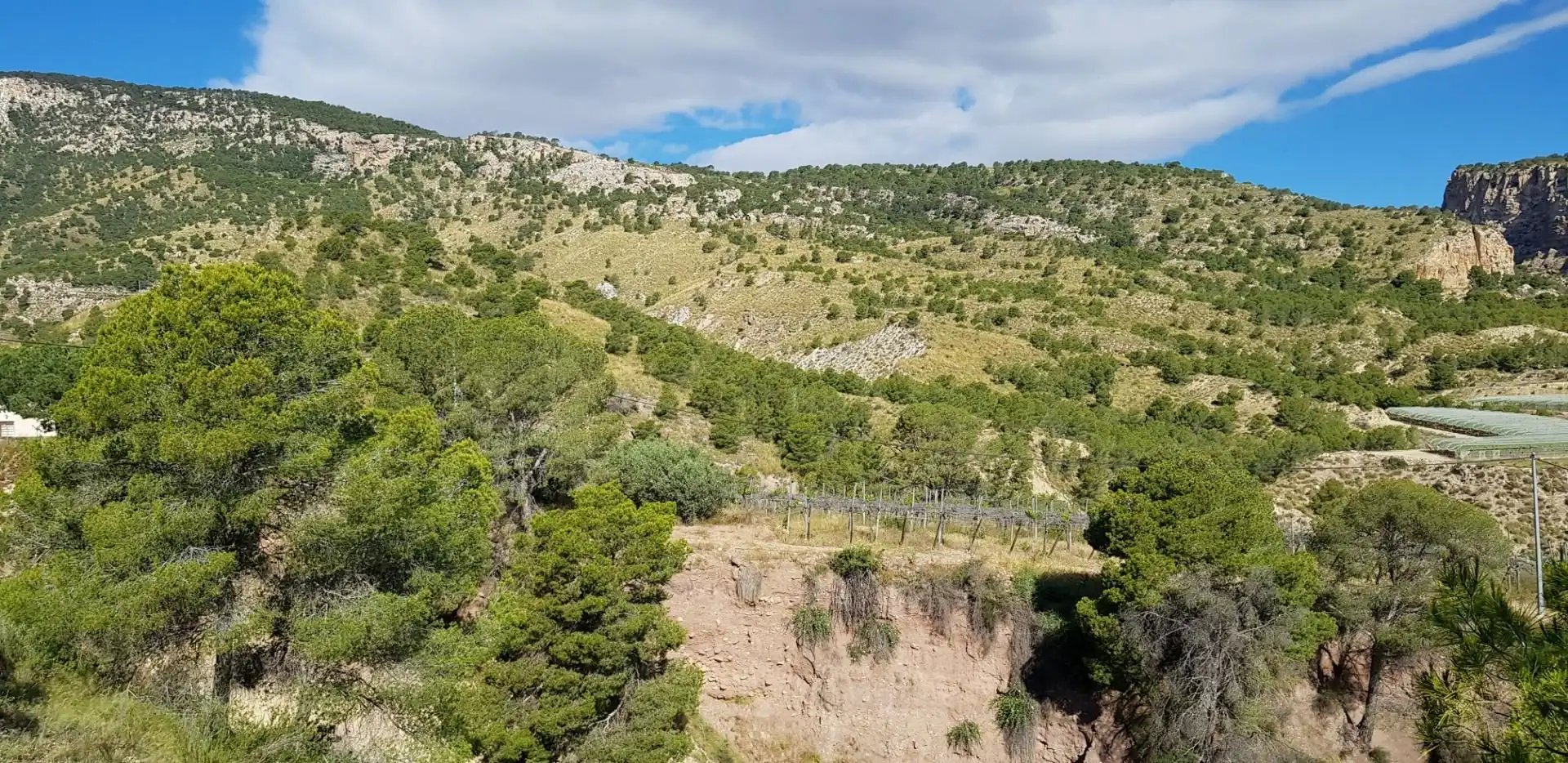 Casa o chalet en venta en Aledo con Terraza y Trastero
