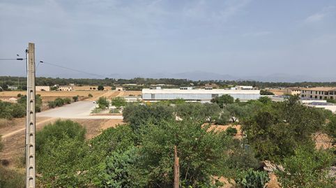 Foto 2 de Dúplex en venda a Carrer de Tramuntana, 6, Sineu, Illes Balears