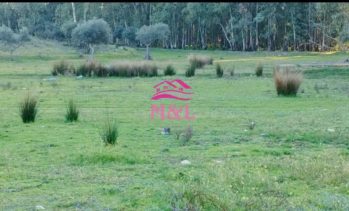 Terreni e lotti in vendita a Oeste, imagen 6