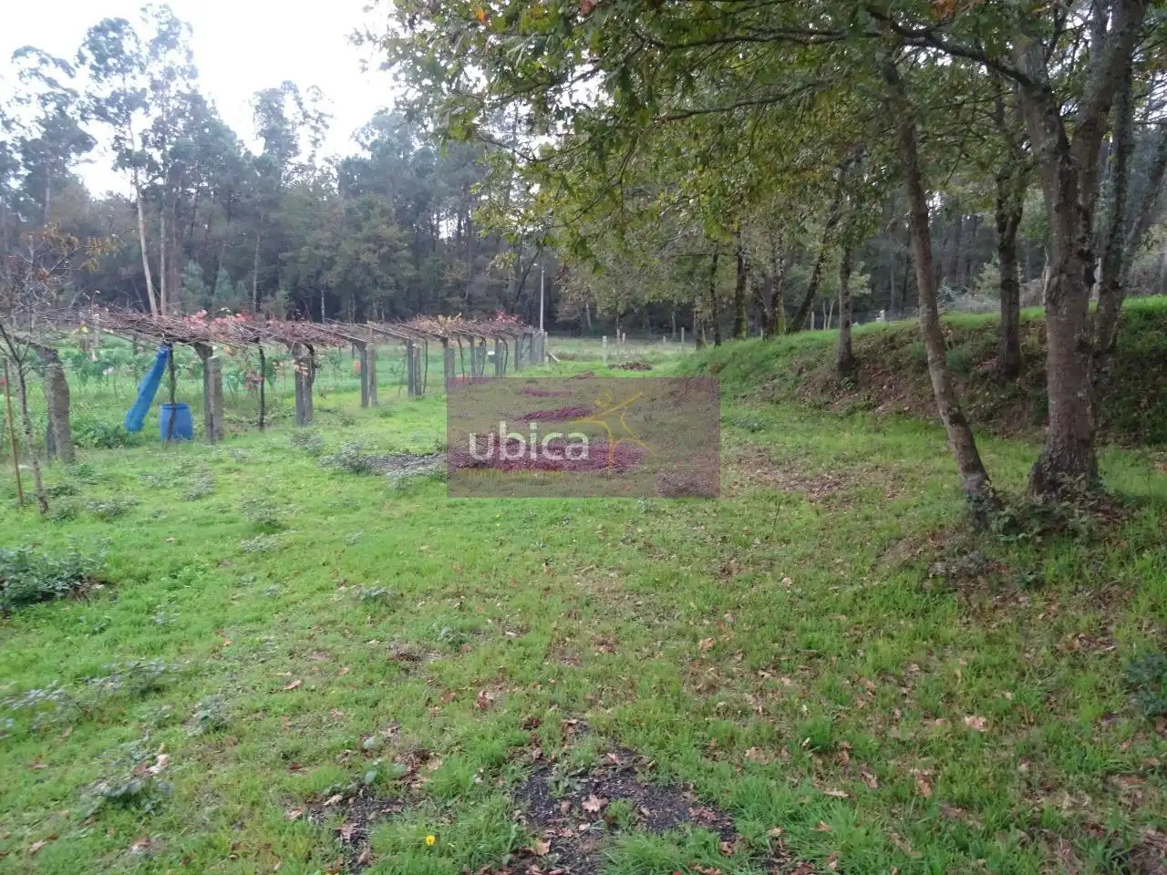 Terreny residencial en venda a Mos, imagen 9