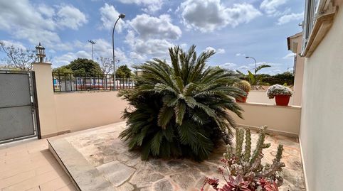 Foto 4 von Einfamilien-Reihenhaus zur Miete in Sa Cabana - Can Carbonell - Ses Cases Noves, Marratxí