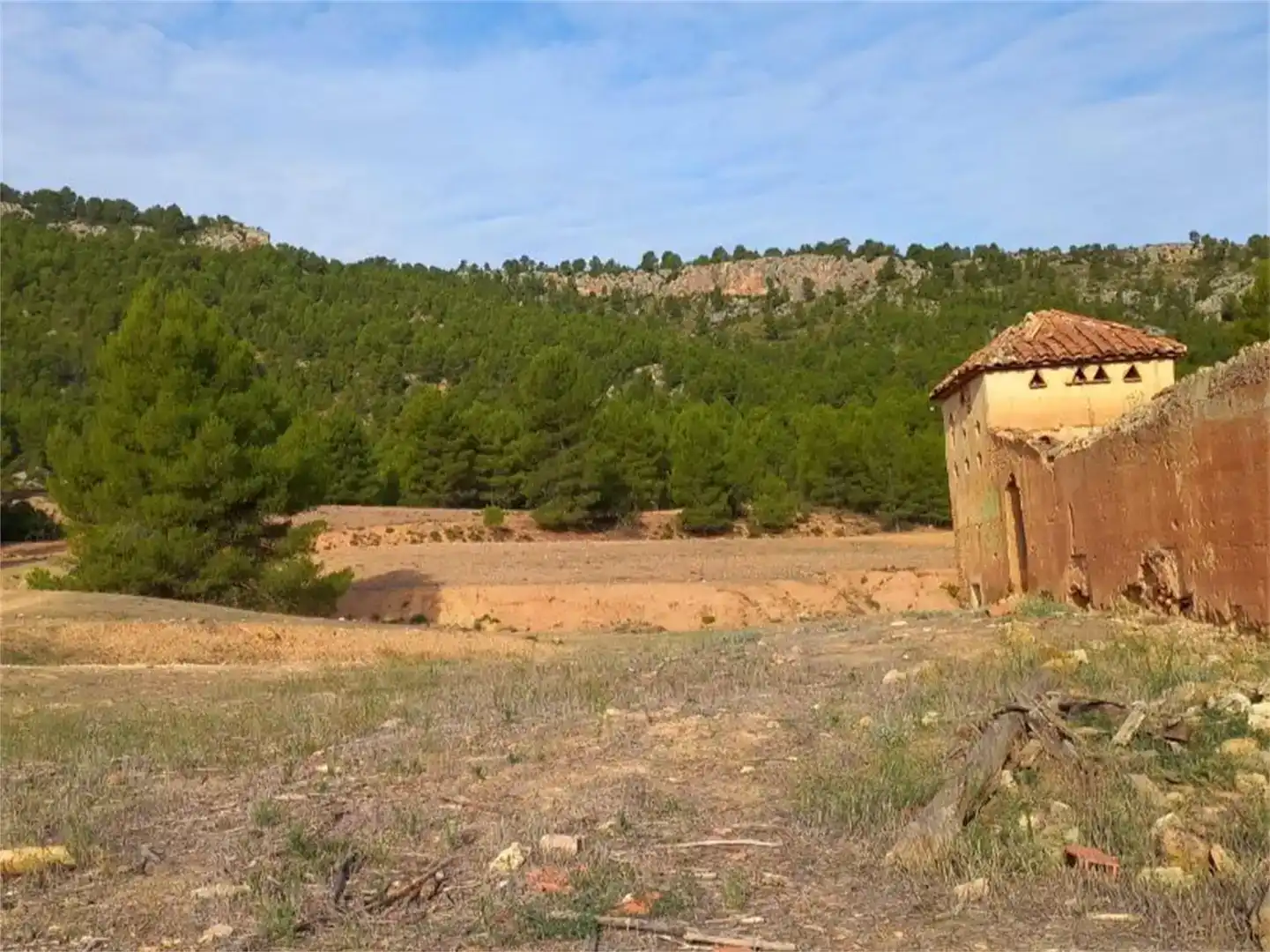 Terreno en venta en Letur