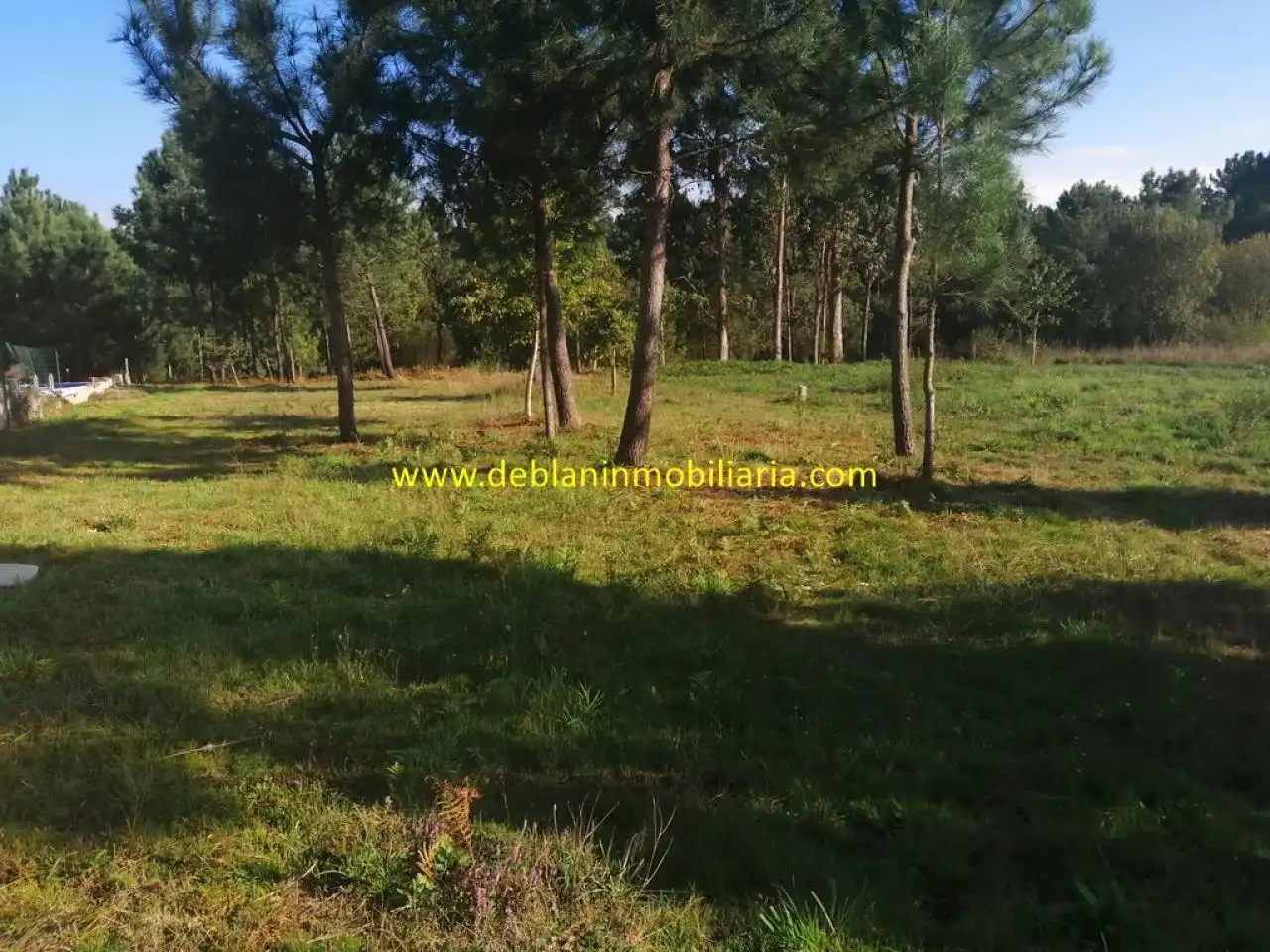 Residencial de lloguer en Salceda de Caselas