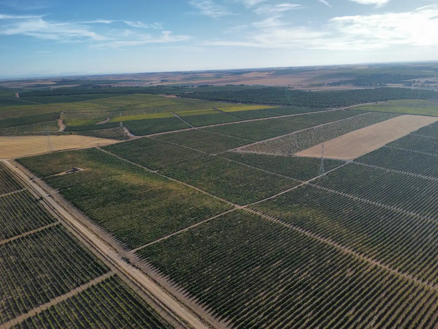 Terreno rustico in vendita a Rueda, imagen 23