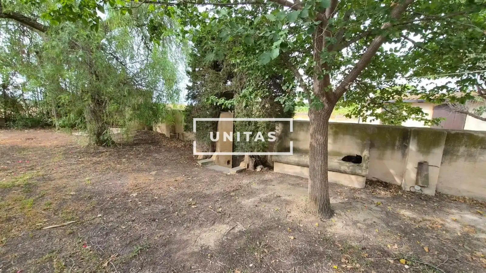Casa o chalet en venta en Carretera MORALET, Cañada del Fenollar