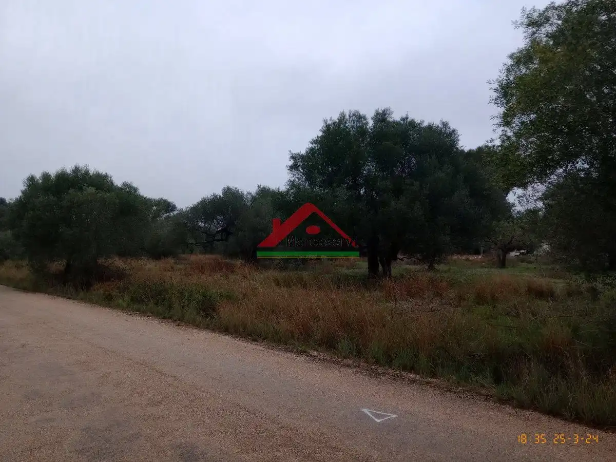 Finca rústica en venta en Vinaròs