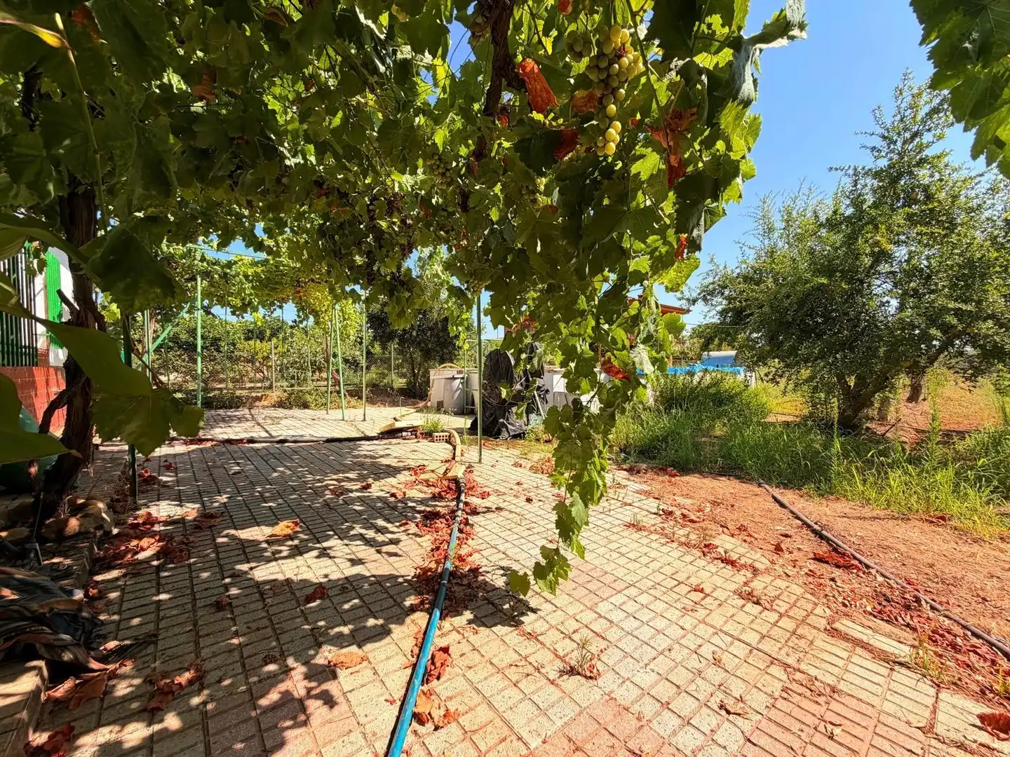 Jardín de Casa o chalet en venta en Valverde de Mérida con Jardín privado, Terraza y Trastero