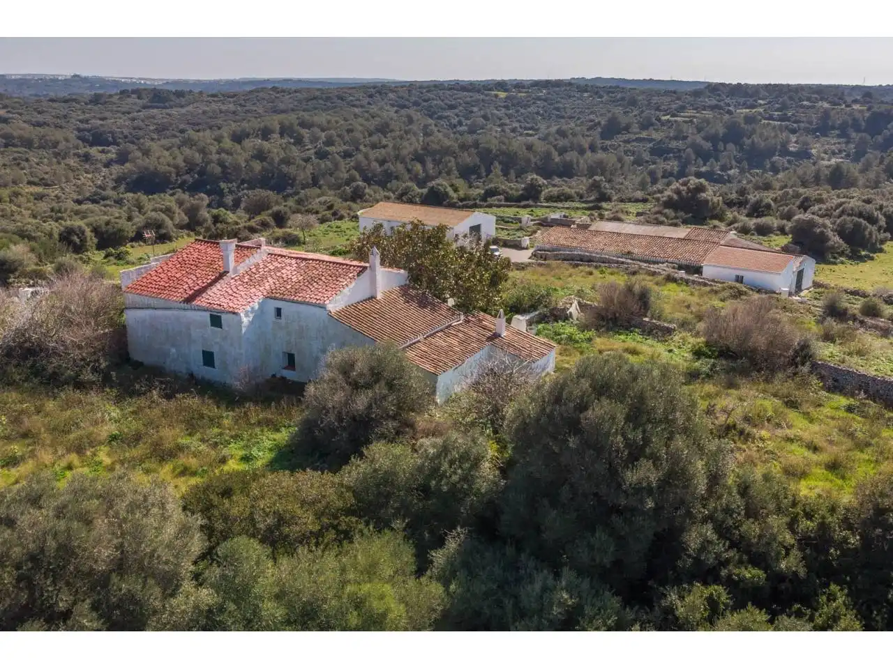 Terreno rustico in vendita a Alaior poble, imagen 2