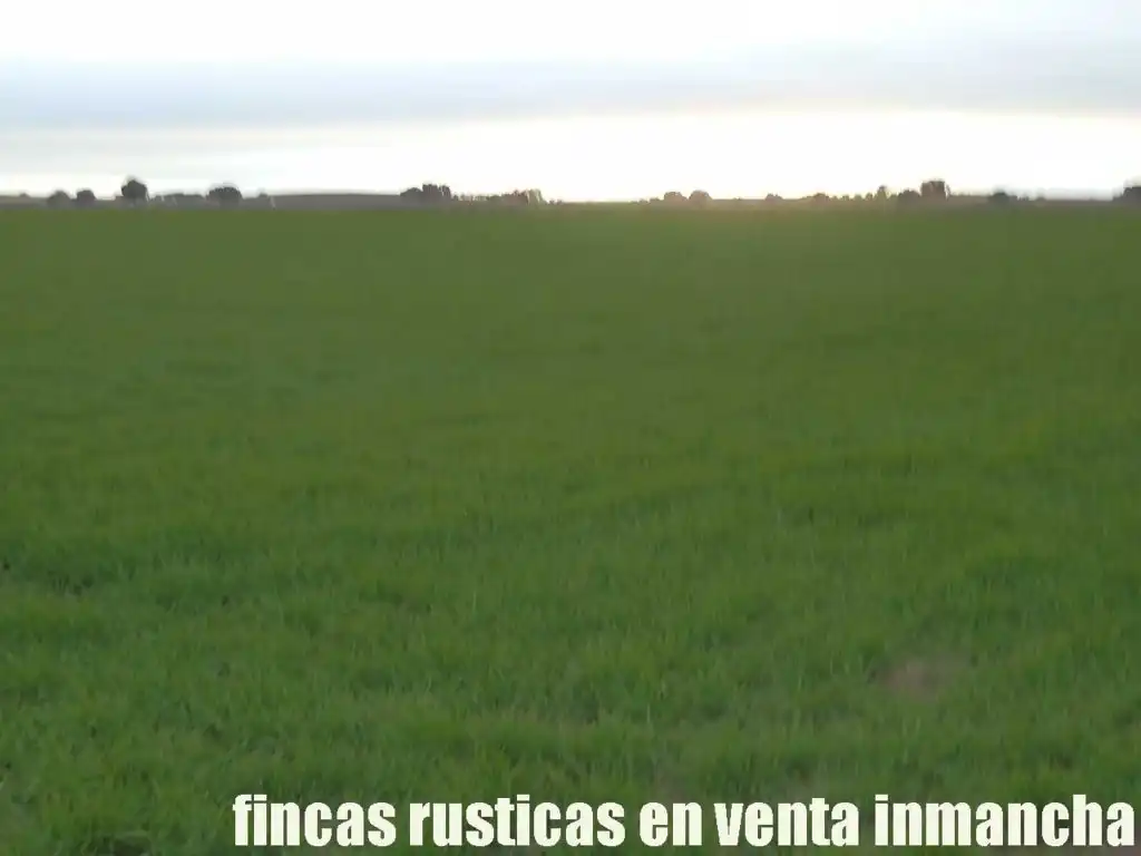 Terreno rústico en venta en Daimiel, imagen 13