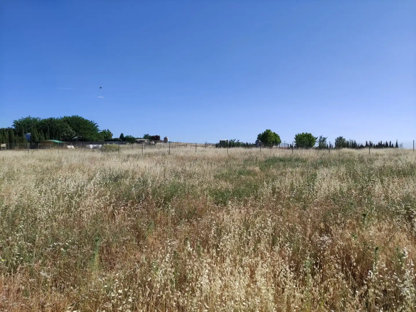 Terreni e lotti in vendita a Área Rural-Valverde-Las Casas, imagen 5