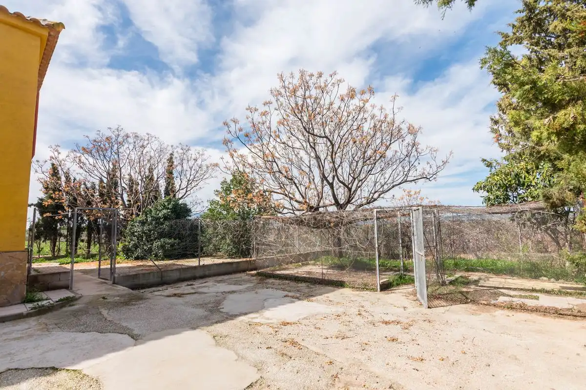 Finca rústica en venta en Pliego