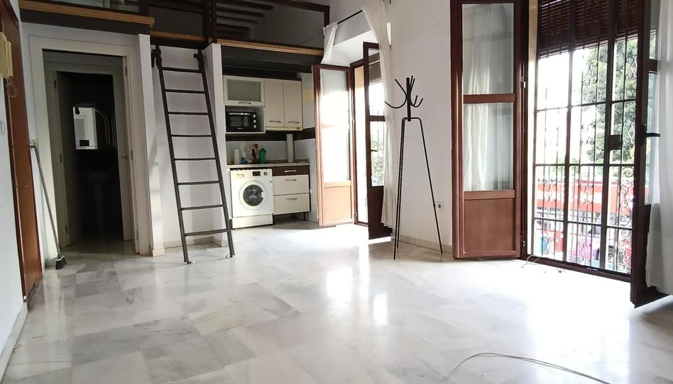 Photo 1 of Flat to rent in Calle Don Fadrique, Doctor Barraquer - G. Renfe - Policlínico, Sevilla