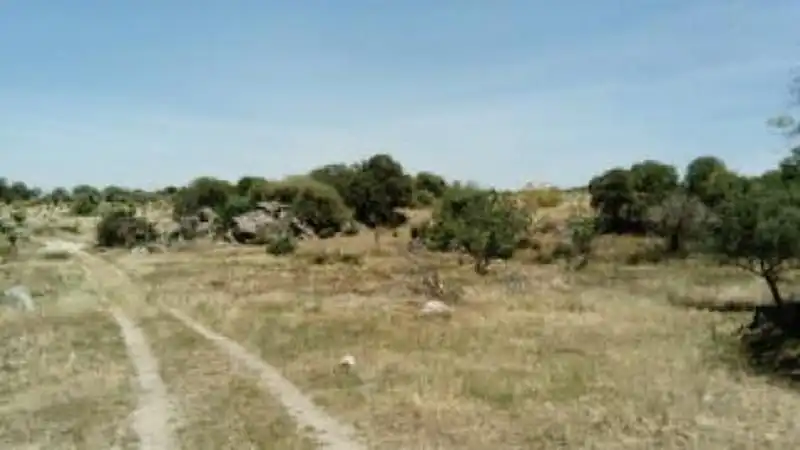 Grundstücke zum Verkauf in Esparragosa de la Serena