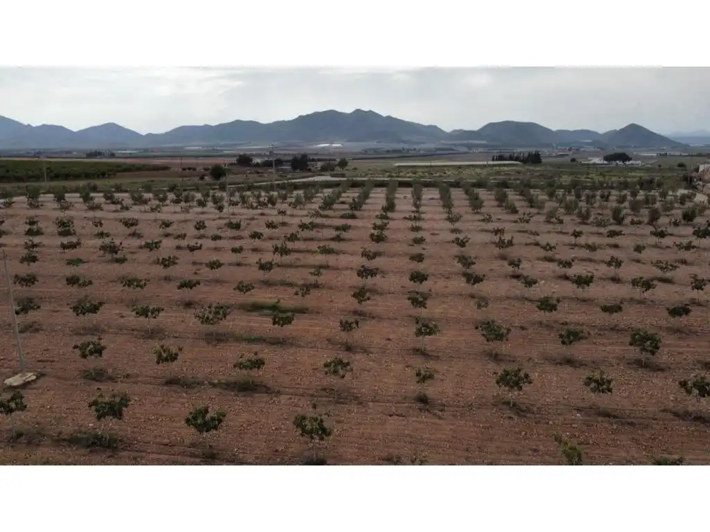 Finca rústica en venda a Escucha