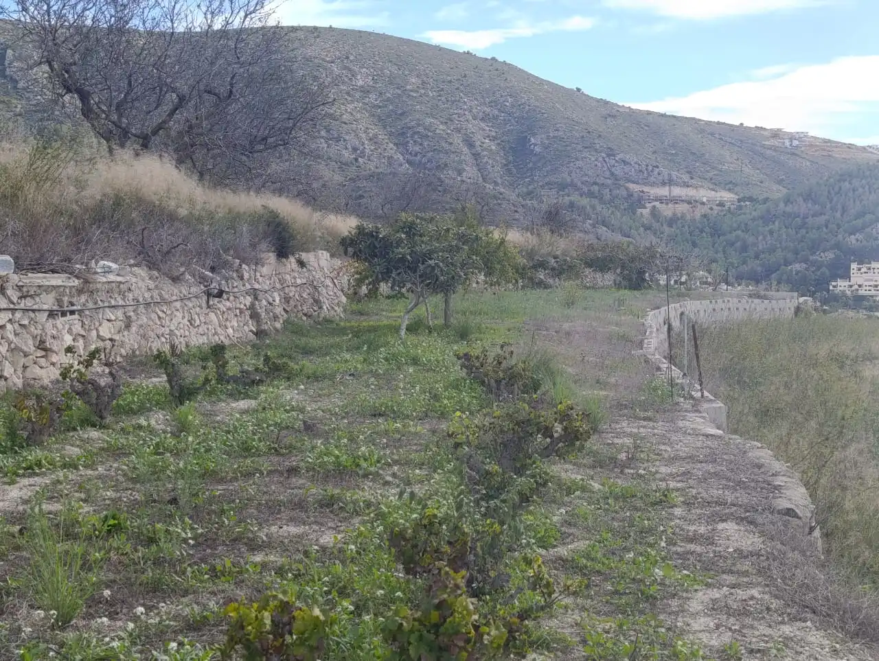 Adossat en venda a Les Fonts - Els Molins, imagen 26