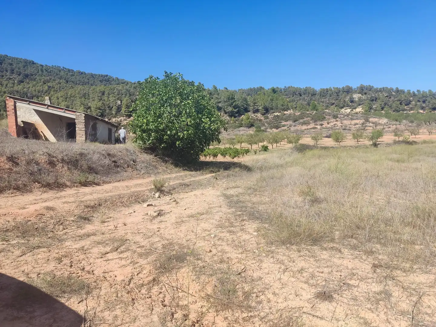 Rural land for sale in Horta de Sant Joan