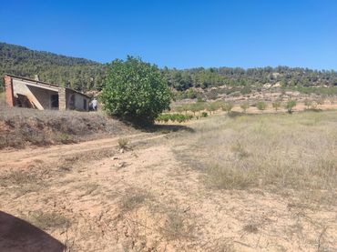 Terreny rústic en venda a Horta de Sant Joan