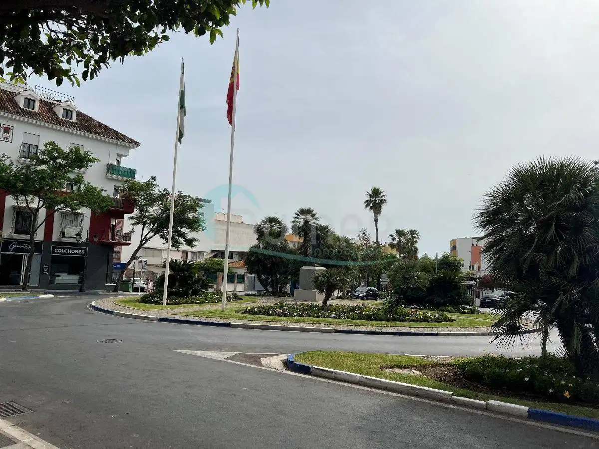 Inmuebles singulares en venta en San Pedro de Alcántara, imagen 2