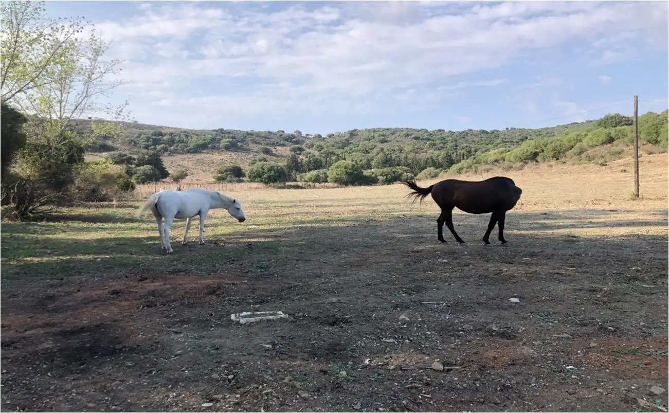 Maison rustique à vendre à San Martín del Tesorillo, imagen 23