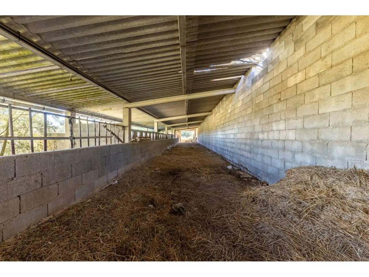 Terreno rustico in vendita a Llucmajor pueblo, imagen 77