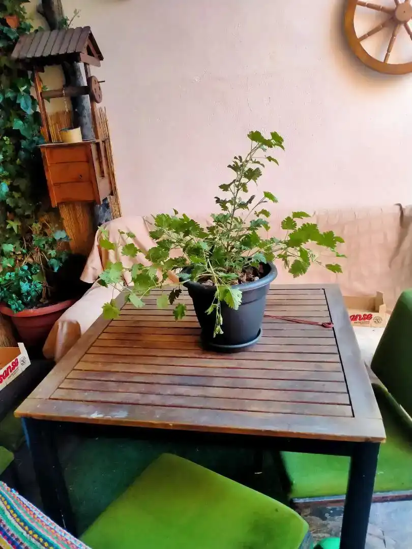 Terraza de Casa o chalet en venta en Malagón