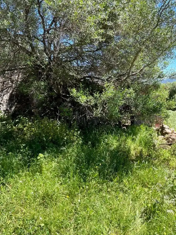 Casa rústica en venda a Gaucín, imagen 9
