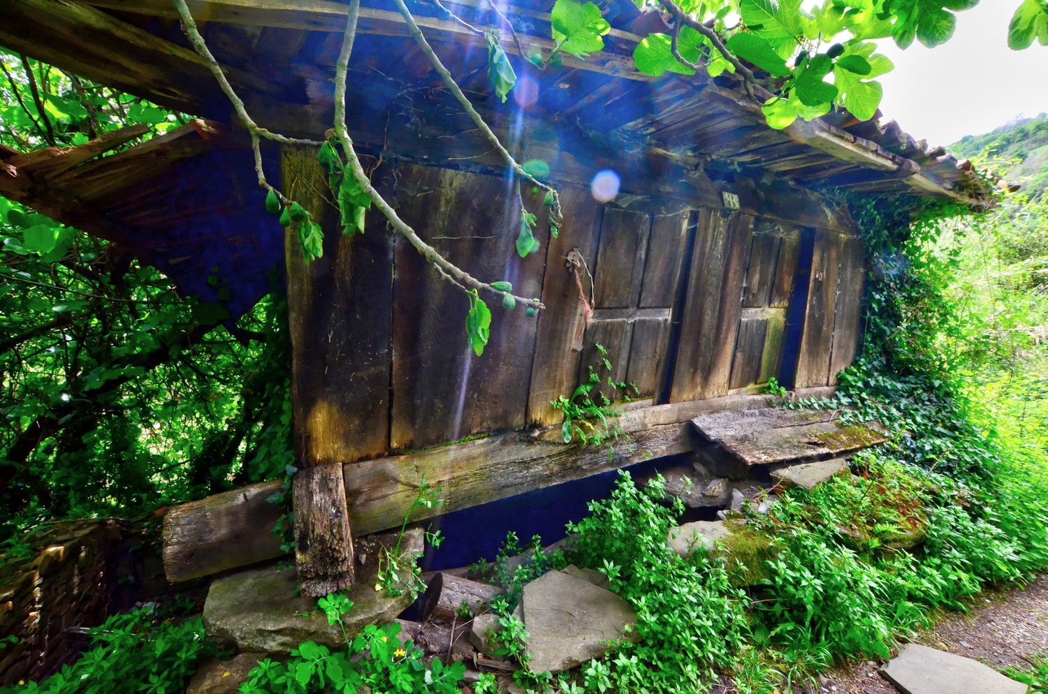 Garden of Houses for sale in Mieres (Asturias)  with Swimming Pool