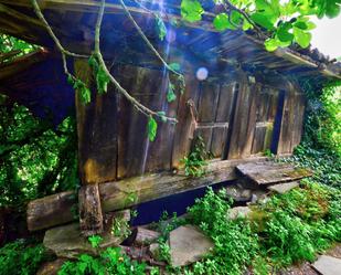 Jardí de Casa o xalet en venda en Mieres (Asturias) amb Piscina