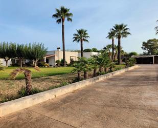 Vista exterior de Finca rústica en venda en Alcúdia amb Aire condicionat, Jardí privat i Terrassa