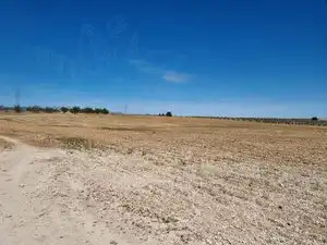 Terreno rústico en venta en Calle Granada, imagen 19