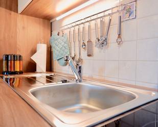 Cuina de Apartament de lloguer en Santa Coloma de Gramenet amb Moblat i Es permeten mascotes
