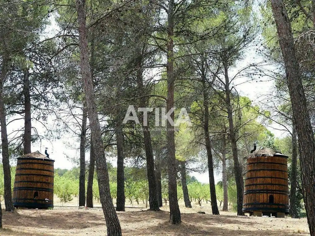 Country homes for rent in Centro