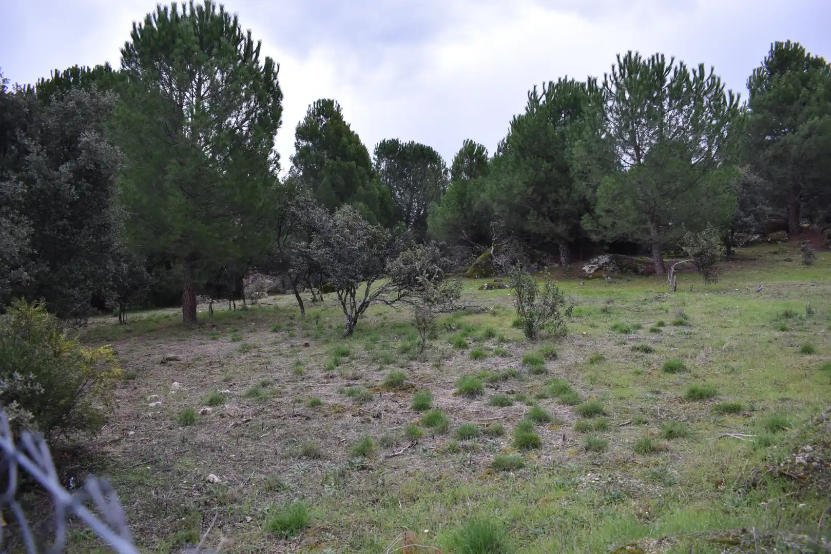 Wohnbaugrundstück zum Verkauf in Avenida Sajonia, imagen 4