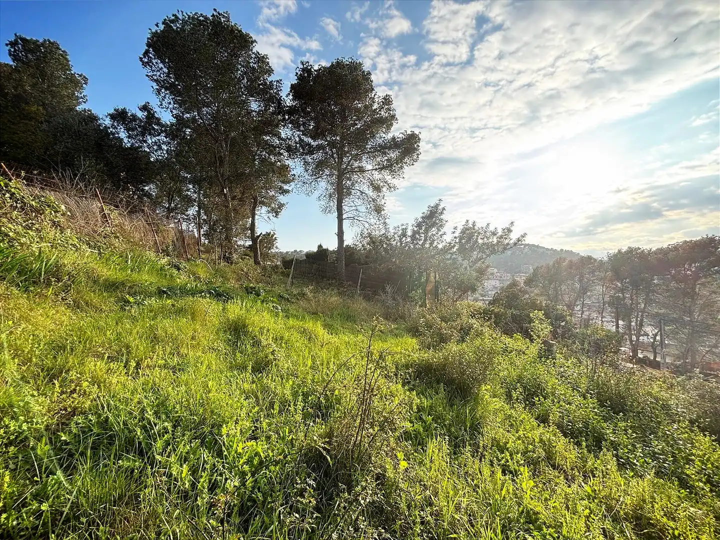 Terreno residencial en venta en Canyelles, imagen 22