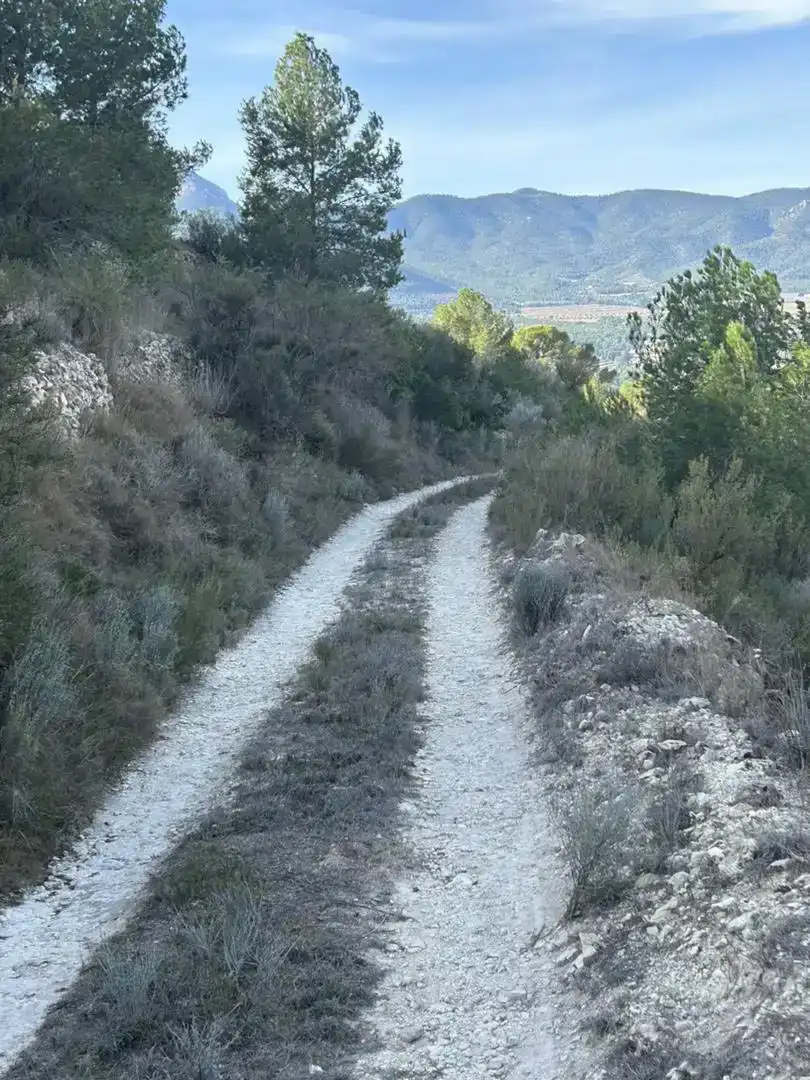 Vista exterior de Finca rústica en venda en Tibi