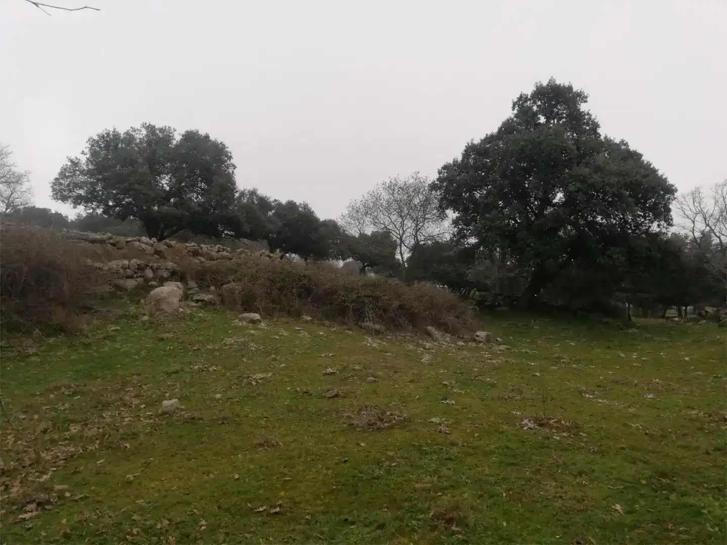 Terreno en venta en Bustarviejo